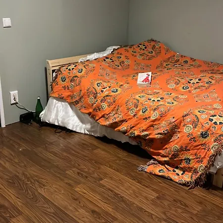 Cozy Flat! Rotterdam
