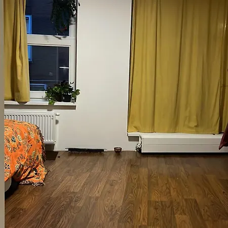 Cozy Flat! Apartment